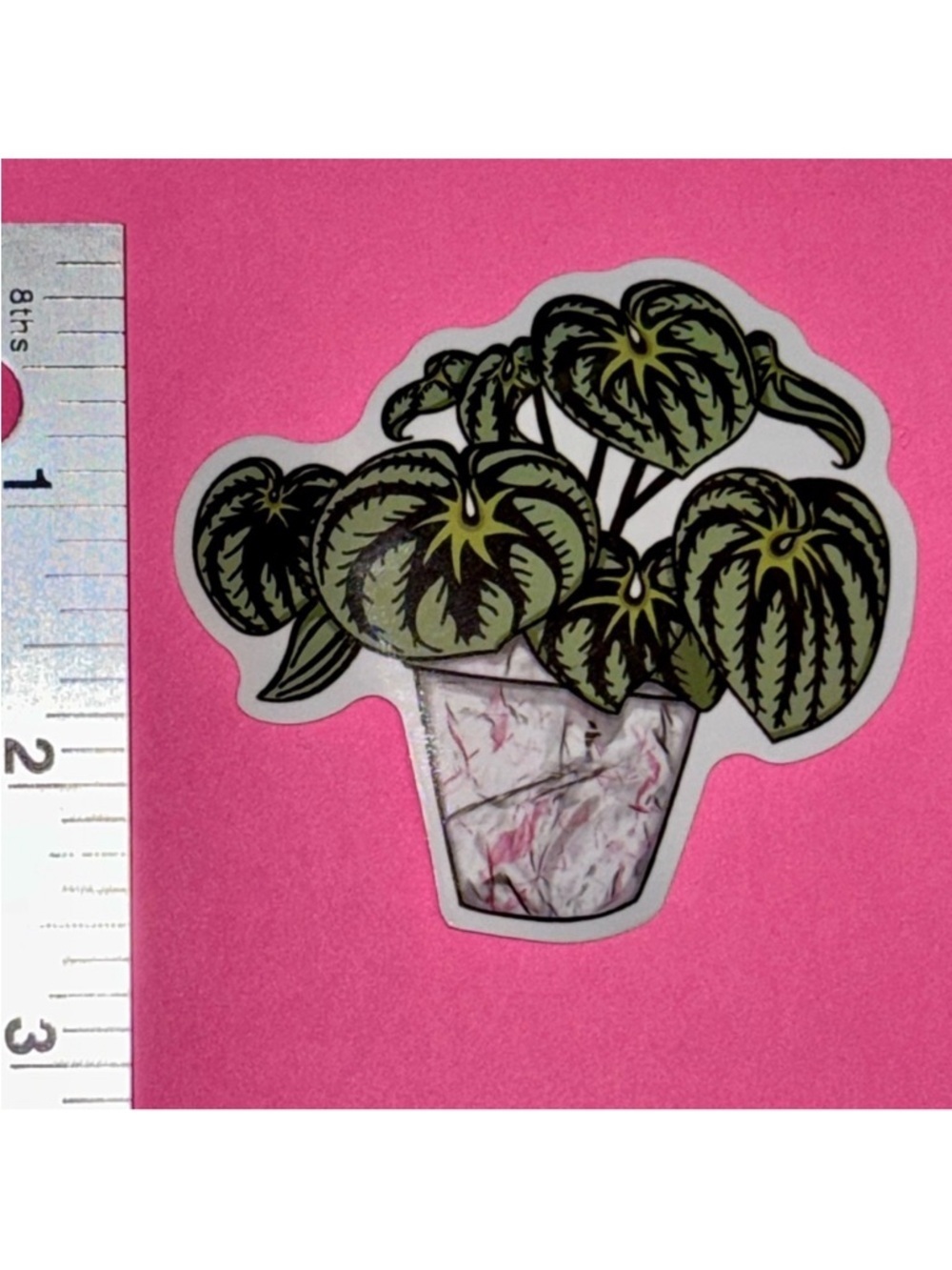 10/$10 Plant Aesthetic Vinyl Sticker Waterproof Water Bottle Laptop Scrapbook